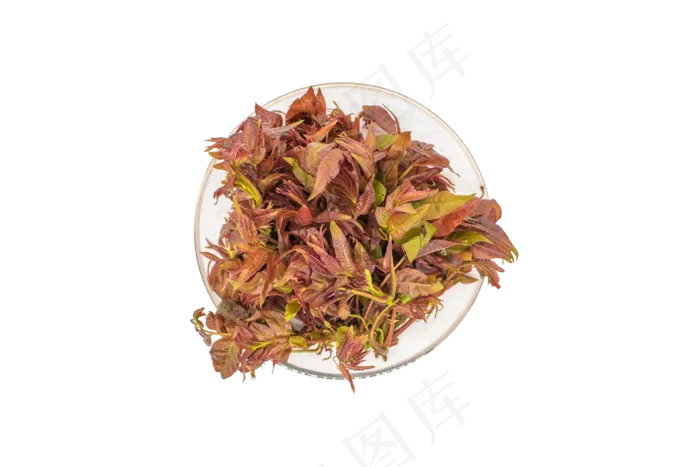 美食蔬菜香椿(2000X2000(DPI:300))