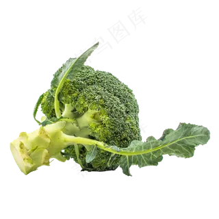 绿色花菜蔬菜 绿色花菜蔬菜