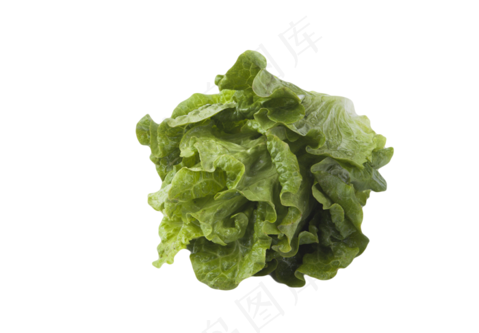 生菜蔬菜(1813X1261(DPI:240))psd模版下载