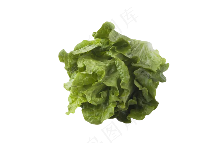 生菜蔬菜(1813X1261(DPI:240))psd模版下载