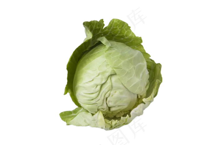 一颗大头菜(2000X1333(DPI:240))psd模版下载