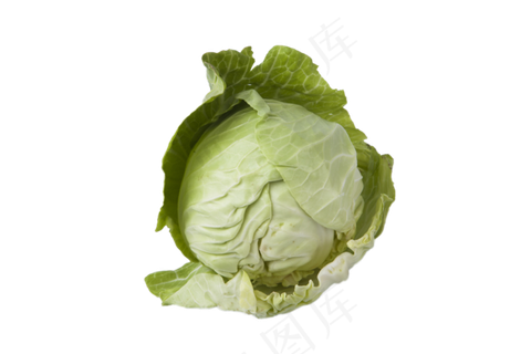一颗大头菜 一颗大头菜