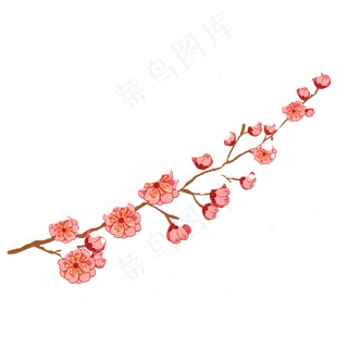 手绘冬季梅花花枝