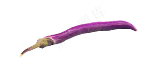 果蔬蔬菜茄子