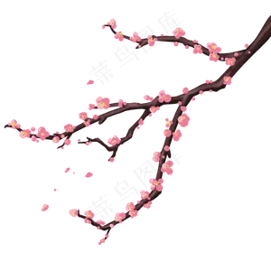 树枝上的梅花