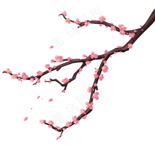 树枝上的梅花 树枝上的梅花