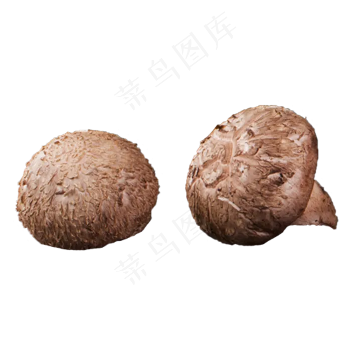 棕色白色蔬菜香菇菇类食材免扣p(2000X2000(DPI:300))psd模版下载