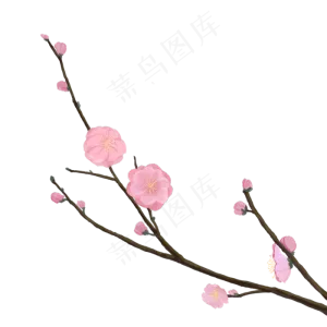 新中式风格粉色梅花盛开手绘