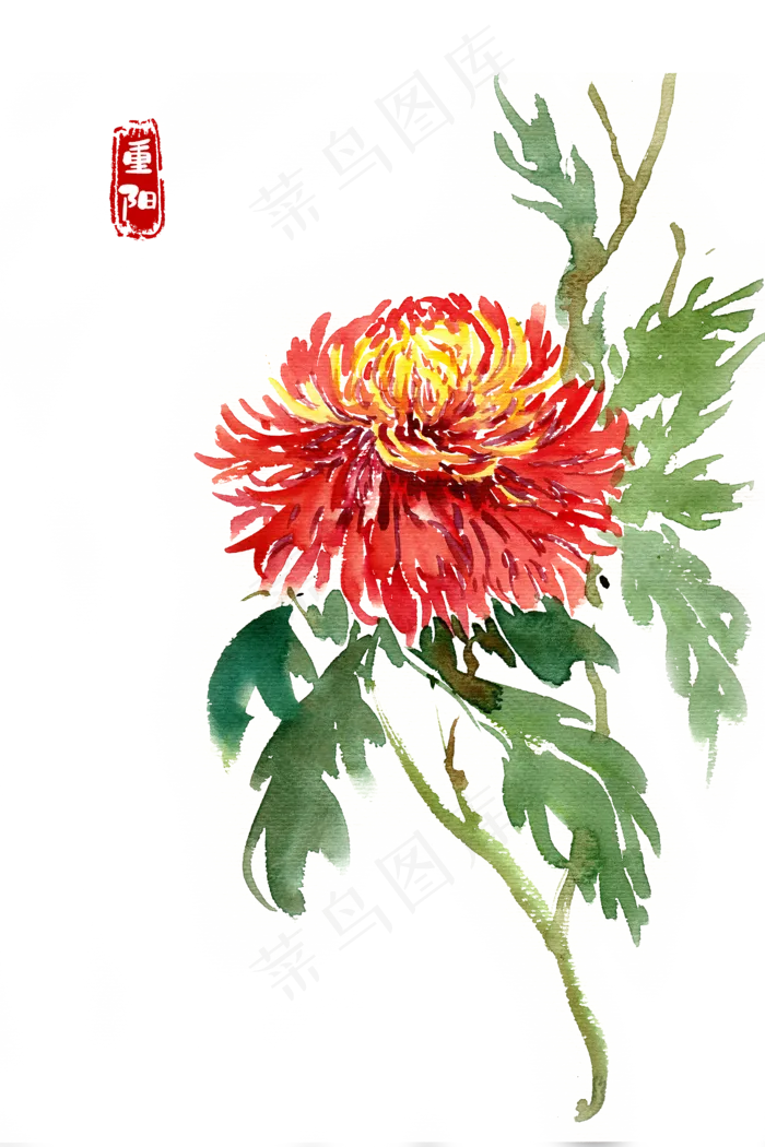 重阳节盛开的菊花(3545X5315(DPI:300))psd模版下载