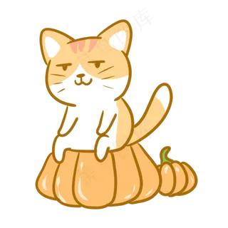 坐在南瓜上的橘猫