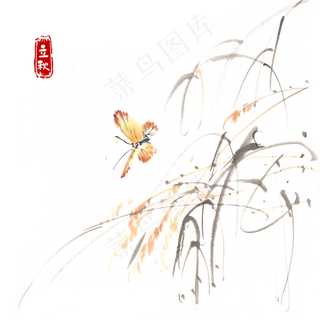 立秋蝴蝶与枯叶