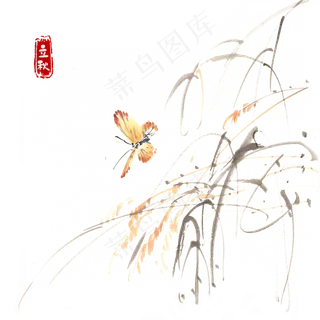 立秋蝴蝶与枯叶