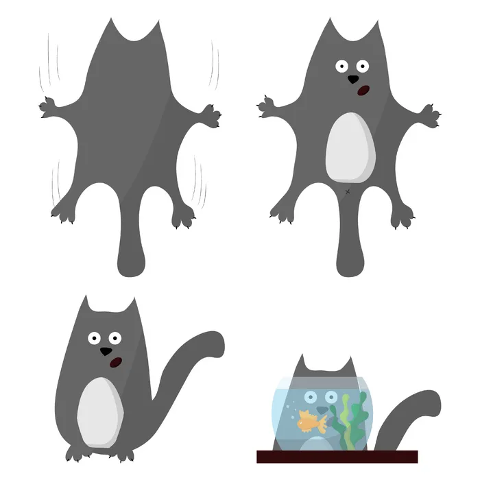一组灰色的惊喜猫，一只可爱的猫，看着一只金鱼，这只猫从墙上掉下来