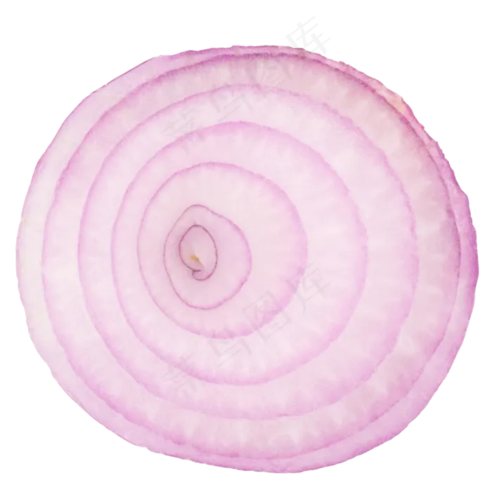 蔬菜洋葱食材(2000X2000(DPI:300))