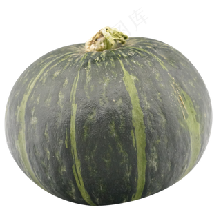 绿色圆形南瓜