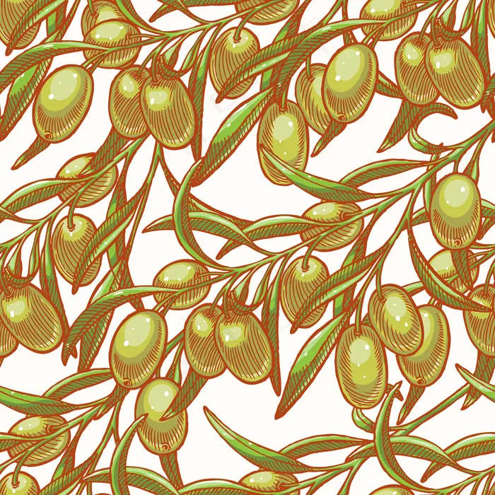 无缝背景与手绘橄榄树枝eps,ai矢量模版下载