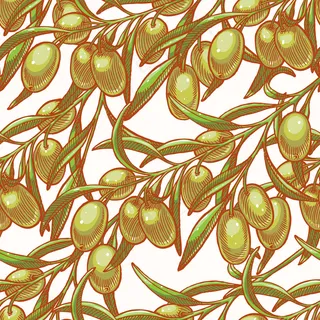 无缝背景与手绘橄榄树枝