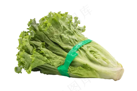 美味蔬菜生菜 美味蔬菜生菜