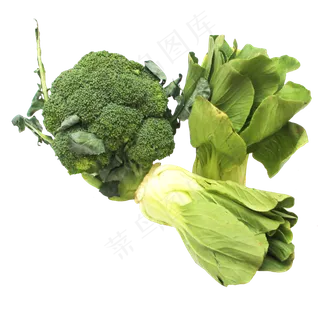西兰花青菜组合