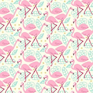 火烈鸟图案系列概念