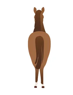 棕马野生或家养动物卡通设计平面矢量图