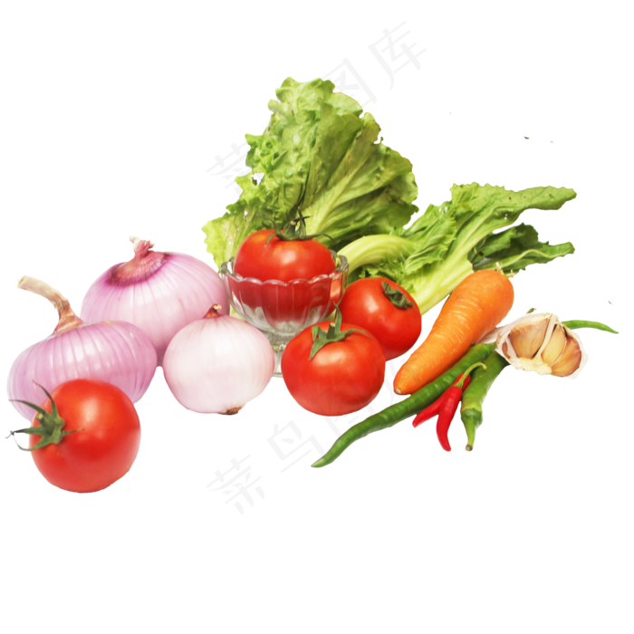 生菜芥菜洋葱胡萝卜辣椒大蒜