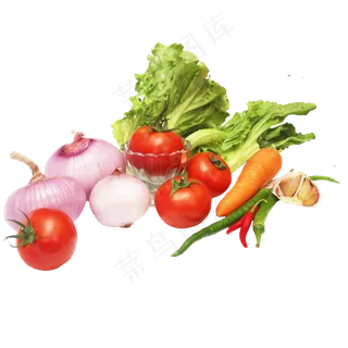 生菜芥菜洋葱胡萝卜辣椒大蒜 生菜芥菜洋葱胡萝卜辣椒大蒜