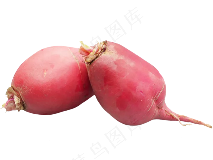水萝卜新鲜蔬菜(500X500)