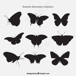 一群蝴蝶的剪影