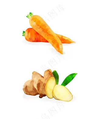 手绘胡萝卜 生姜 蔬菜