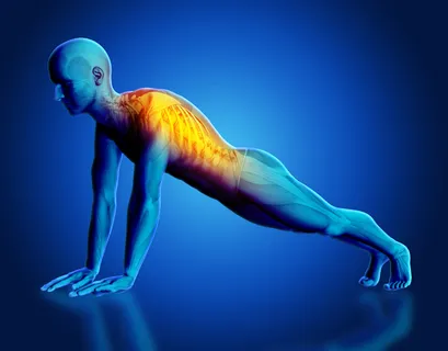在瑜伽姿势中突出显示脊柱的男性医学人物的 3d 渲染 在瑜伽姿势中突出显示脊柱的男性医学人物的 3d 渲染