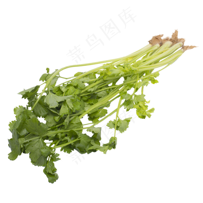 绿色芹菜蔬菜食物实拍(2000*2000px 300 dpi )