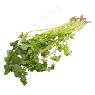绿色芹菜蔬菜食物实拍 绿色芹菜蔬菜食物实拍