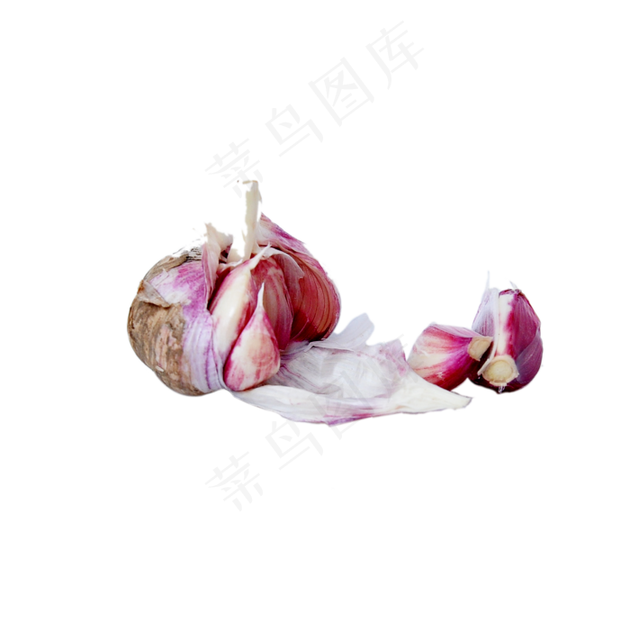 新鲜大蒜(2000X2000(DPI:300))