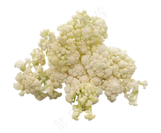 白色蔬菜花菜