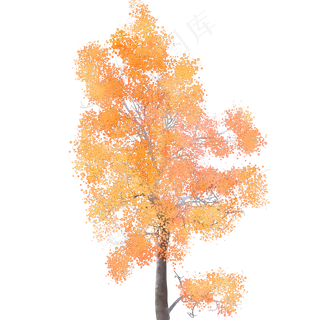 水彩树木秋天免费下载