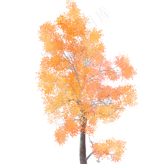 水彩树木秋天免费下载