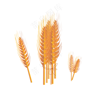 秋天丰收麦穗农作物唯美金黄色简