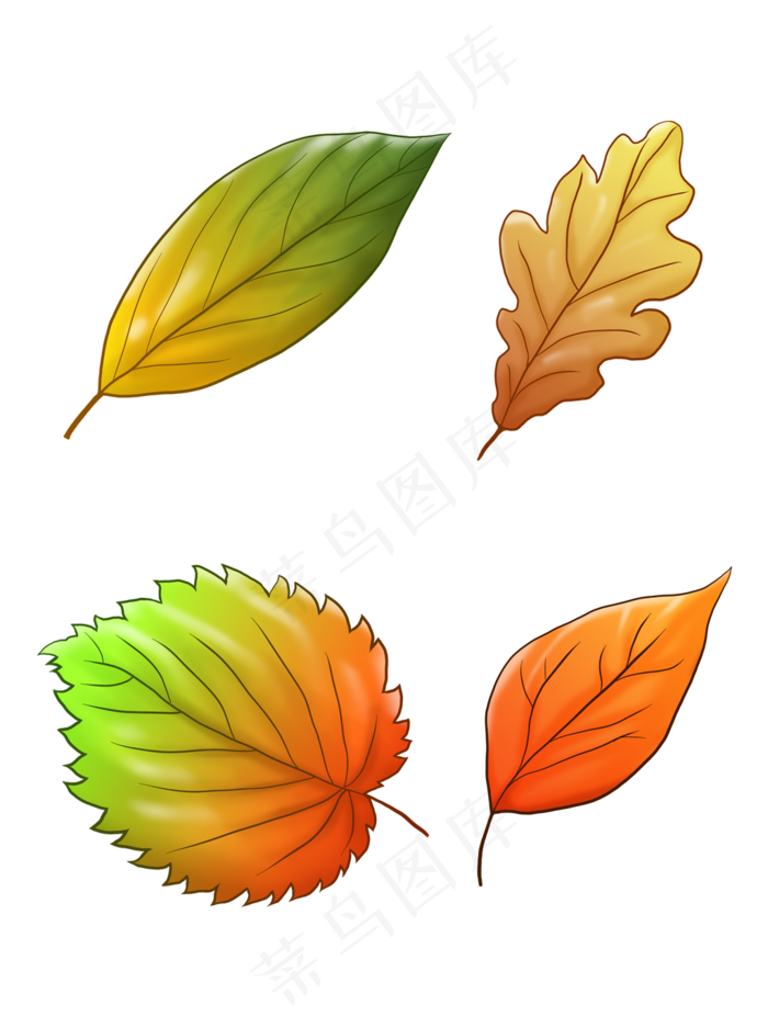 秋天树叶商用素材