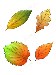 秋天树叶商用素材