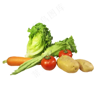 生菜豆角土豆胡萝卜西红柿蔬菜组