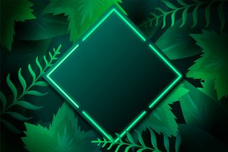 霓虹灯框架的真实树叶