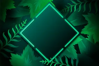 霓虹灯框架的真实树叶