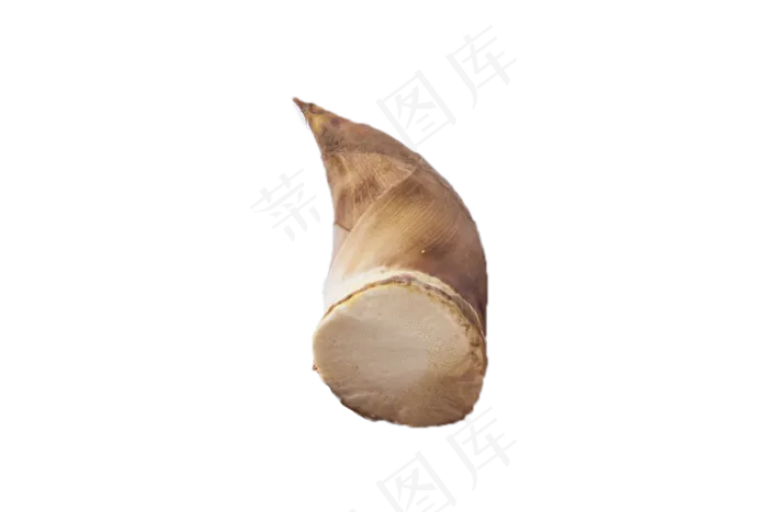 爽脆春笋新鲜蔬菜(2000X1333(DPI:240))psd模版下载