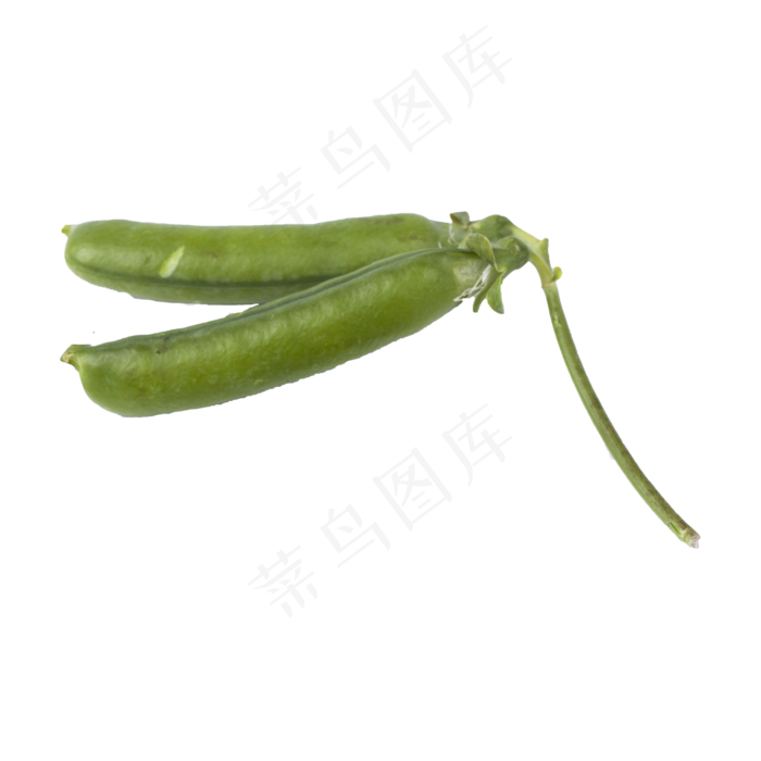 豌豆（png免抠）(2000X2000(DPI:72))psd模版下载