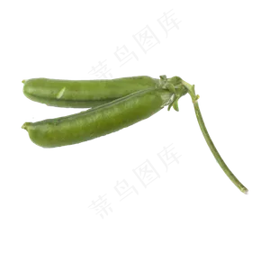 豌豆（png免抠）