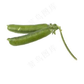 豌豆（png免抠）