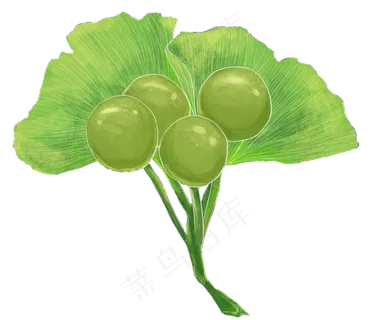 银杏叶果子秋天绿色手绘