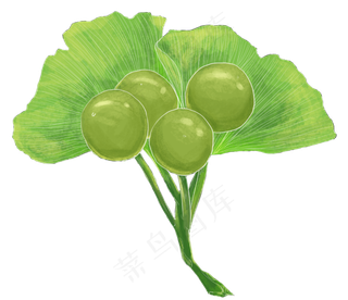 银杏叶果子秋天绿色手绘