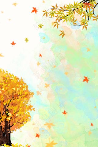 秋季上新清新服装促销PSD分层